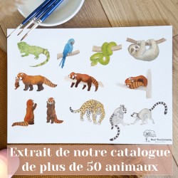 Affiche 100% Personnalisée Prénom Bébé ou Enfant