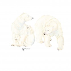 Le Portrait de Notre Famille - Ours Polaires