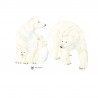 Le Portrait de Notre Famille - Ours Polaires