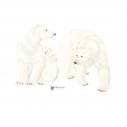 Le Portrait de Notre Famille - Ours Polaires