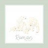 Faire-Part de Naissance Personnalisable - Famille d'Ours Polaires