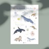 Affiche "Les Animaux de la Mer" FR-EN