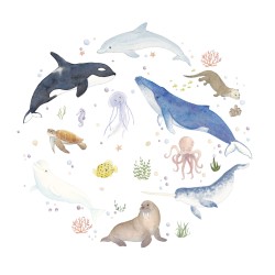Animaux de la Mer - Carte...