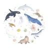 Animaux de la Mer - Carte de Voeux