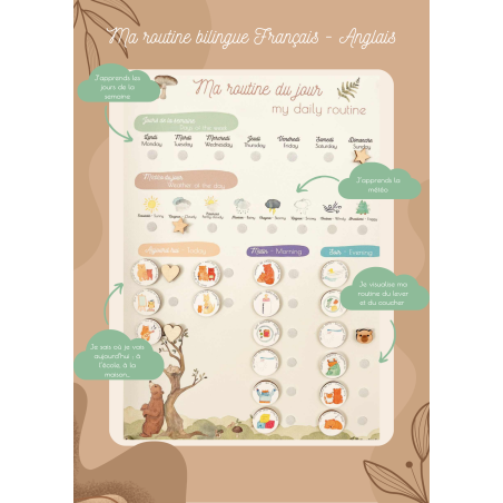 Ma routine du jour Français-Anglais
