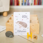 Apprendre l’alphabet : le premier pas vers le monde merveilleux de la lecture ! ✨

🔤Avec ma fille de 4,5 ans, nous sommes en plein apprentissage des lettres de l’alphabet.
Dans notre prochain article de blog, je vous propose des idées d’activités autour des lettres à faire avec votre enfant, parce qu’on apprend tellement mieux en s’amusant !

✉️Inscrivez vous dès maintenant à notre newsletter pour ne pas manquer les activités qu’on vous propose ainsi qu’une petite activité surprise à télécharger 😉! (Lien dans la bio)

Bear Tree Company, c’est aussi...
Cadeaux de Naissance 🎁/ Mobiles pour bébés 🌜/ Décoration ✨🛋️/ Jouets bébé et enfant 👶👦👧/Supports pédagogiques Français-Anglais 🇫🇷 🇬🇧/ Faire-part de naissance🐤/ Cartes de voeux ✉️,...

#activitéenfant #iefmaternelle #apprendrealire